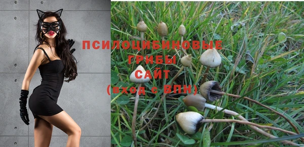 2c-b Нефтекумск